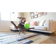 The Interactive Dog Toy Ball That Bounces and Laughs, Engaging Your Dog's Natural Instincts