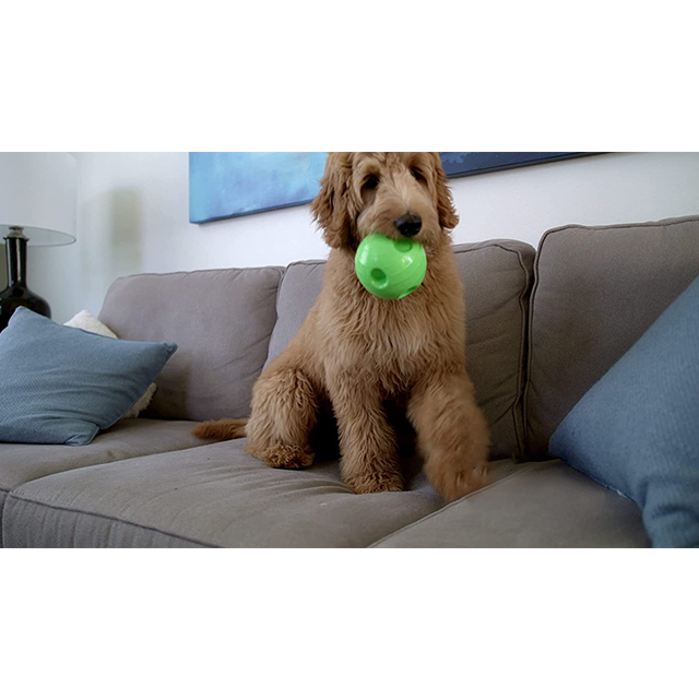 The Interactive Dog Toy Ball That Bounces and Laughs, Engaging Your Dog's Natural Instincts