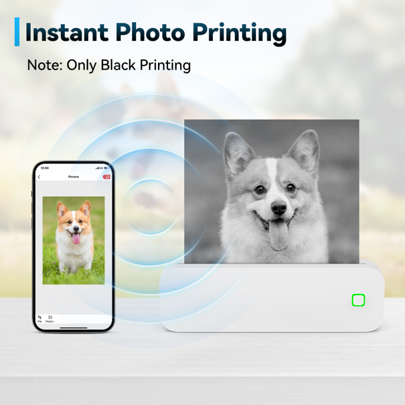 PS-D210 A4 Thermal Printer