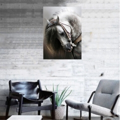 SX-S8807 35x45cm Diamond Painting Kits - Horse
