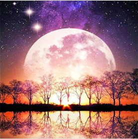 SX-S88937 30x40cm Diamond Painting Kits - Moon