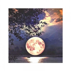 SX-S8939 30x40cm Diamond Painting Kits - Moon