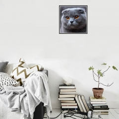 SX-7173  30X30cm   Diamond Painting Kits - British shorthair cat