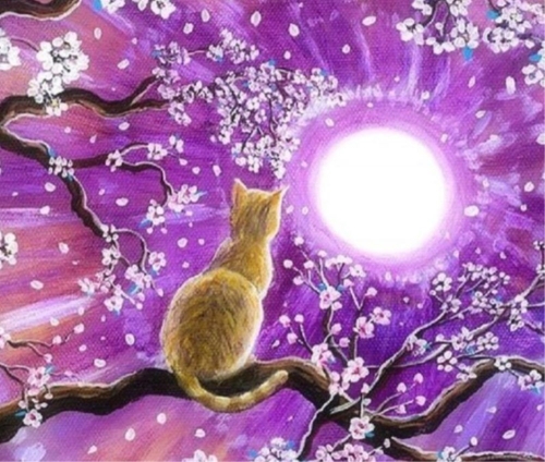 SX-E017  30X40cm Diamond Painting Kits - Cat