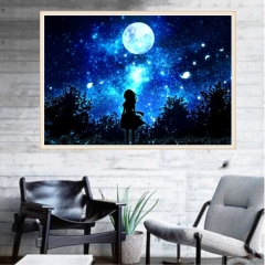 SX-E028   30X40cm  Diamond Painting Kits - Night girl