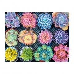 SX-S10023  50X40cm  Diamond Painting Kits - Succulent plants