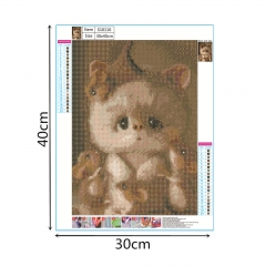 SX-S10110  30X40cm  Diamond Painting Kits - Cat and mouse