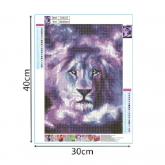 SX-S10122  30X40cm  Diamond Painting Kits - Tiger