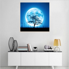 SX-S10113  30X30cm  Diamond Painting Kits - Moon