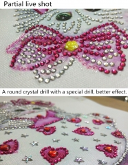 SX-DZ008 Special Shaped Diamond Painting Kits- Cat