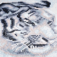 SX-F002  25X25cm  Diamond Painting Kits - White tiger