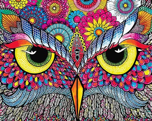 SX- GX2090  Paint by numbers - Owl