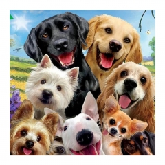 SX-S10003  40X40cm  Diamond Painting Kits - Dog buddy