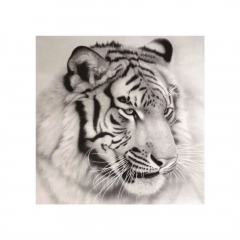 SX-F002  25X25cm  Diamond Painting Kits - White tiger