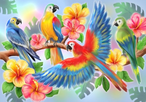 SX- GX2914-DDD1010   Paint by numbers - Parrot
