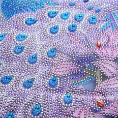 SX-V014   Special Shaped Diamond Painting Kits - Peacock 