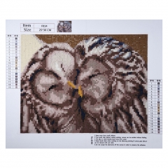 SX-F014  25X30cm   Diamond Painting Kits - Owl