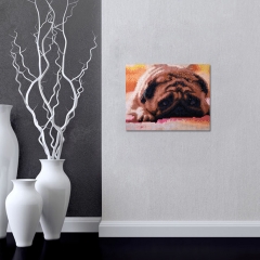 SX-F009  25X30cm  Diamond Painting Kits - Bulldog