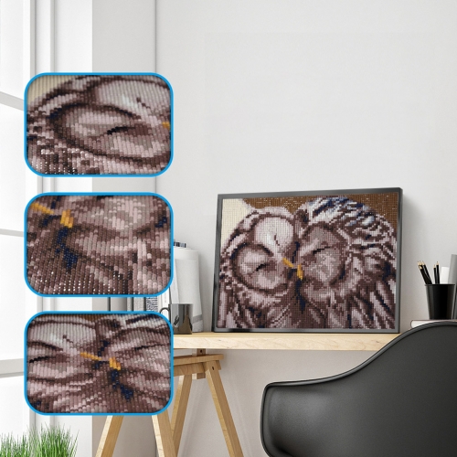 SX-F014  25X30cm   Diamond Painting Kits - Owl