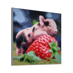 SX-F010  30X30cm  Diamond Painting Kits - Little sweet pig