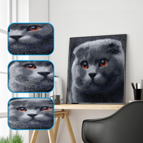 SX-F005  25X25cm  Diamond Painting Kits - Blue cat