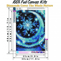 SX- B3402   Diamond Painting Kit - Snowflake