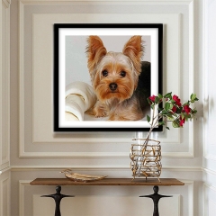 SX- B3406   Diamond Painting Kit - Yorkshire Terrier