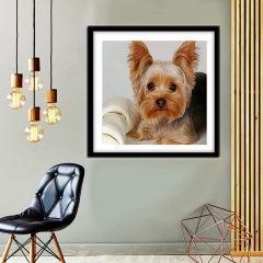 SX- B3406   Diamond Painting Kit - Yorkshire Terrier