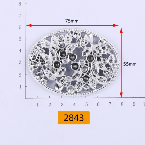 2843# Customized,Decorate diamonds,Plastic,acrylic