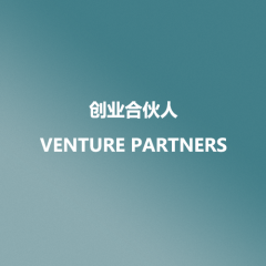 Venture Partner