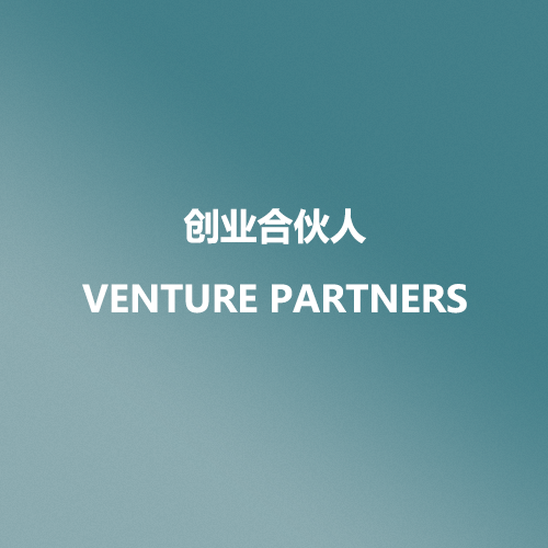 Venture Partner