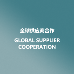 Global Supplier Cooperation