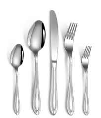 Stainless Steel Flatware Set