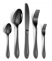 Stainless Steel Flatware Set