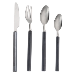 Plastic Handle Stainless Steel Flatware Set