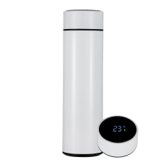 LED Stainless Steel Thermos With Temperature Display