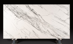 Digital print-DP7003