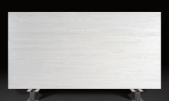 Alpine white-JS6928