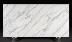 Digital print-DP7007