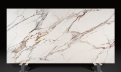 Calacatta gold-DP9350