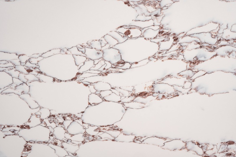 Calacatta rocky gold-JS9343