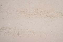 Avorio Tones--JS9342