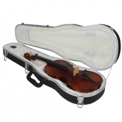 ABS Violin Case