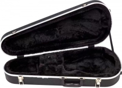 ABS Mandolin Case