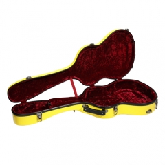 Fiberglass Guitar Case Acoustic