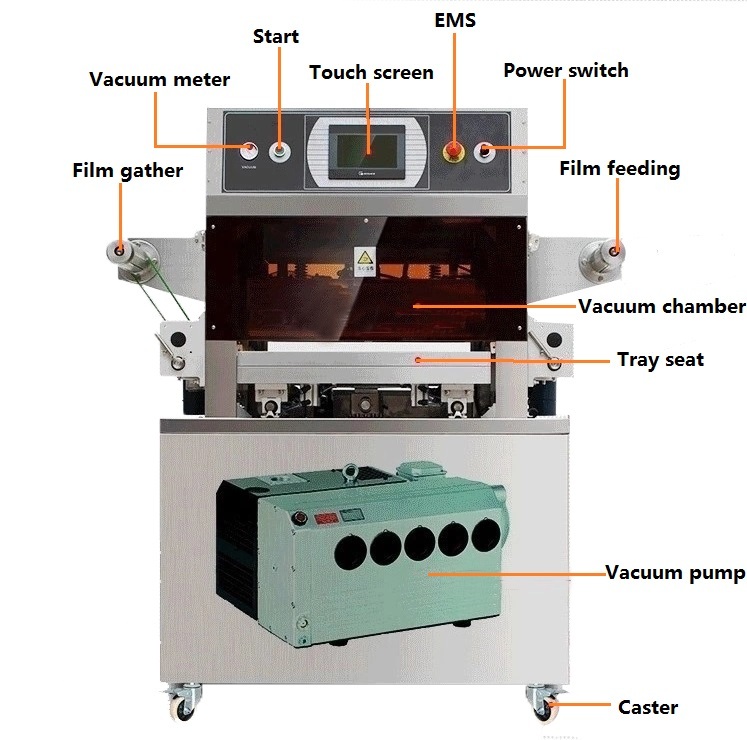 Vacuum skin packing machine