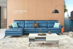 Tea table,TV bench and sofa
