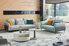 Tea table,TV bench and sofa