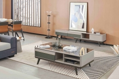 Tea table,TV bench and sofa