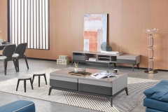 Tea table,TV bench and sofa